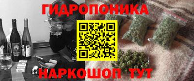 соль ск Аргун