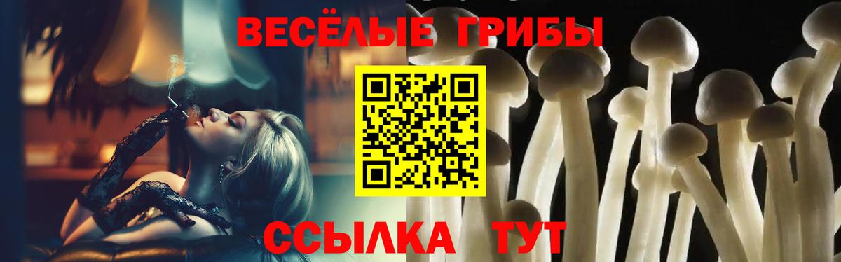 Псилоцибиновые грибы MAGIC MUSHROOMS Архангельск